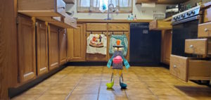 GISH Kitchen robot