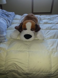 Rufus the stuffed dog