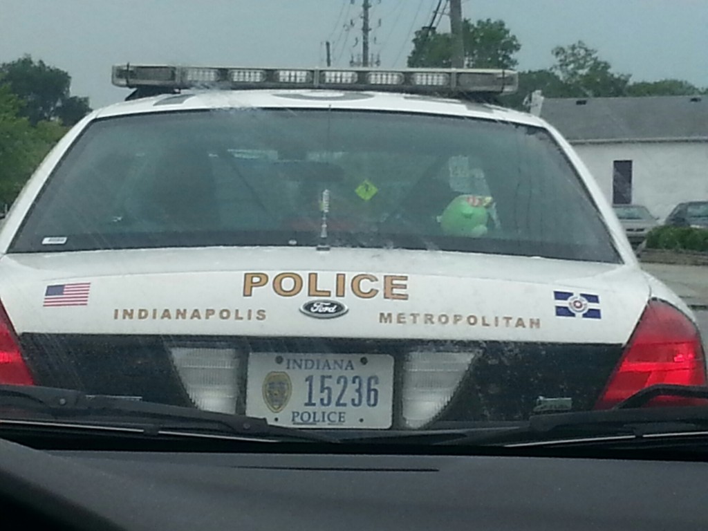 Angry birds and bad piggy cop car